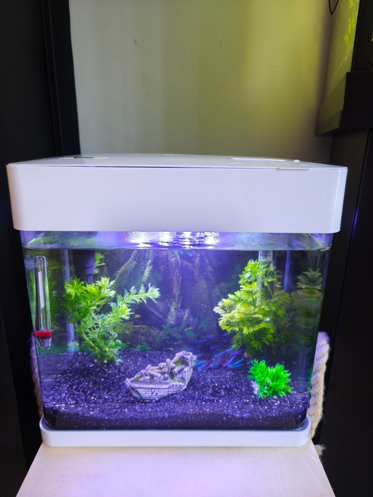 aquarium, Ophalen of Verzenden, Zo goed als nieuw, Leeg aquarium