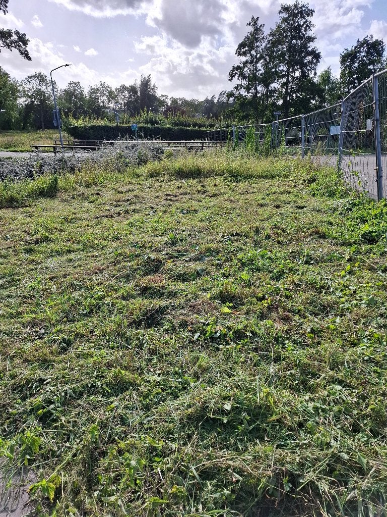 Tuinhulp gezocht (Dordrecht), Tuinonderhoud of Snoeiwerk