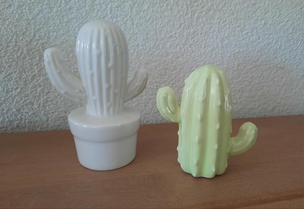 Cactussen, Ophalen