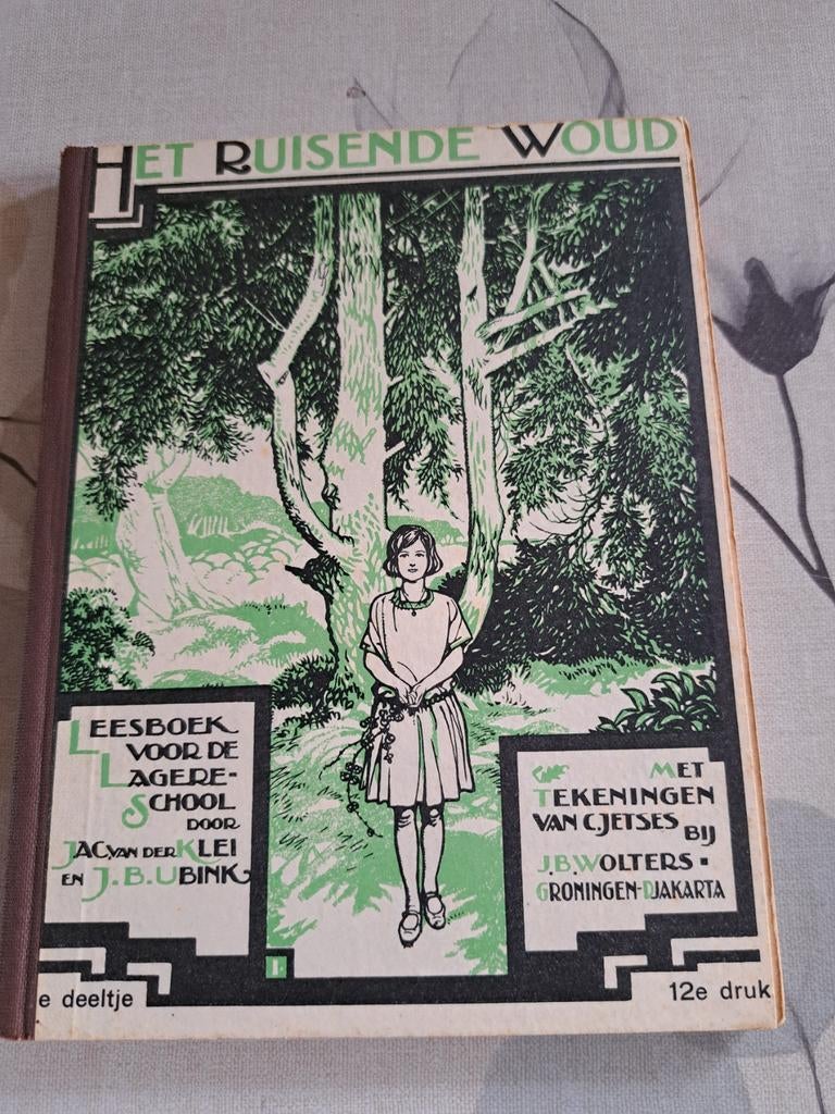 Het Ruisende Woud - Leesboek voor de Lagere School (1932), Ophalen of Verzenden, Gelezen, Jac. van der Klei, J.B. Ubink, Non-fictie