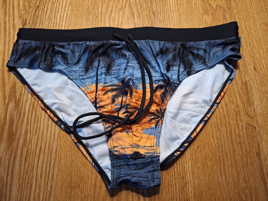 Heren zwemslip maat L, Kleding | Heren, Badmode en Zwemkleding, Ophalen of Verzenden, Maat 52/54 (L), Zwart, Zwemslip