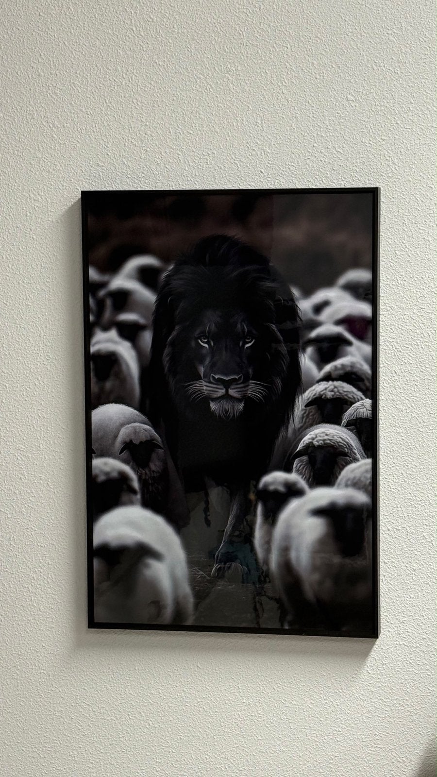 Indrukwekkende Leeuw tussen Schapen Poster, 50 – 75, Ophalen of Verzenden, Zo goed als nieuw, Foto of Poster