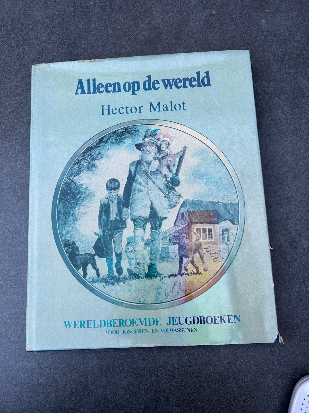 Alleen op de wereld - Hector Malot (Wereldberoemde Jeugdboek, Ophalen, Gelezen, Fictie