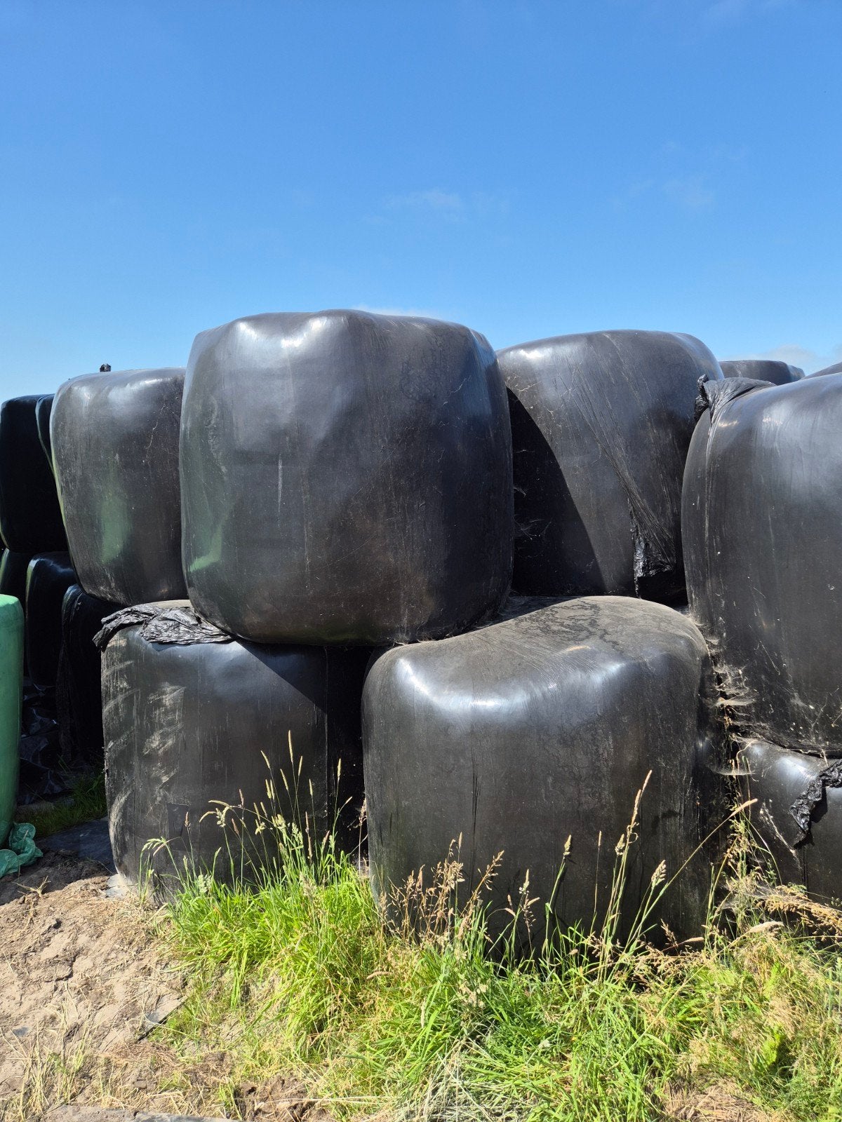 Kuilbalen van beweidland, Dieren en Toebehoren, Dierenvoeding, Ophalen, Vee