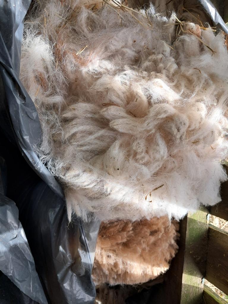 Alpacawol te koop, diverse kleuren., Dieren en Toebehoren, Meerdere dieren, Schaap