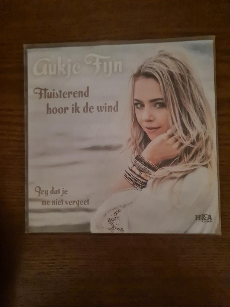 Aukje Fijn, Cd's en Dvd's, Vinyl | Nederlandstalig, Ophalen of Verzenden, Zo goed als nieuw, 7 inch, Levenslied of Smartlap