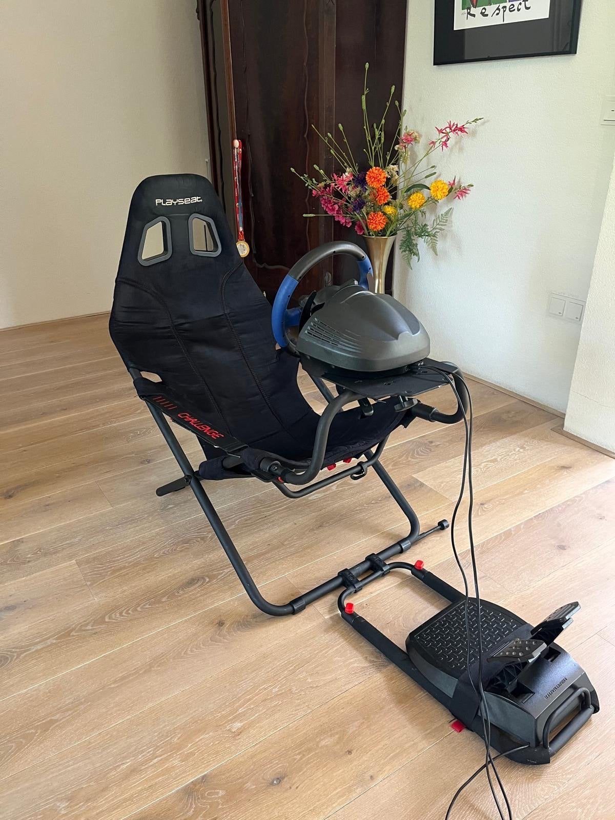 Playseat met racestuur, pedalen en PlayStation 4, Ophalen, Zonder controller, Original, Gebruikt