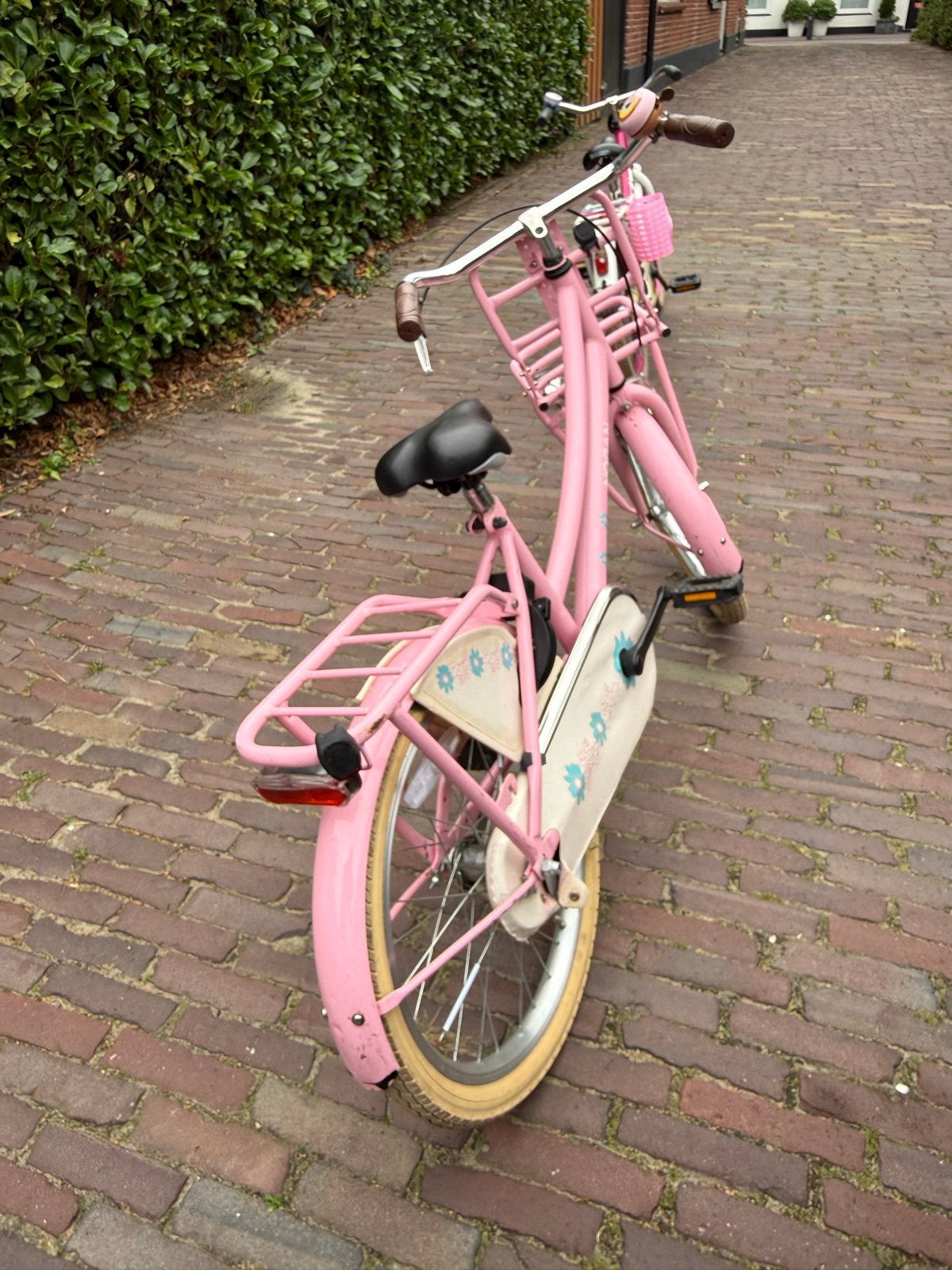 Roze kinderfiets 20 inch met voordrager en bagagedrager, Fietsen en Brommers, Ophalen, Gebruikt, Velgrem, 20 inch of meer