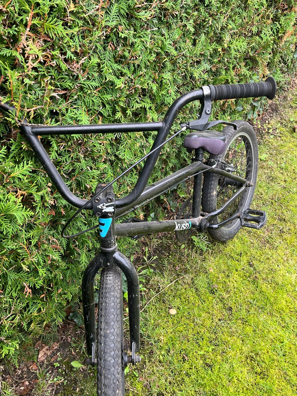 Kush1 BMX Fiets - Zwart, 20 inch wielen, Ophalen, Terugtraprem, Staal, Voetsteunen