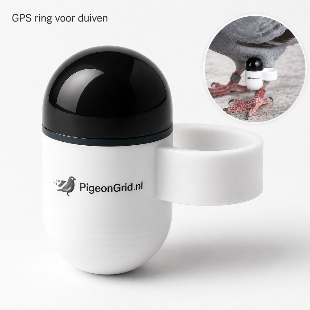 GPS ring voor postduiven / wedstrijdduiven, Dieren en Toebehoren, Ophalen of Verzenden, Nieuw