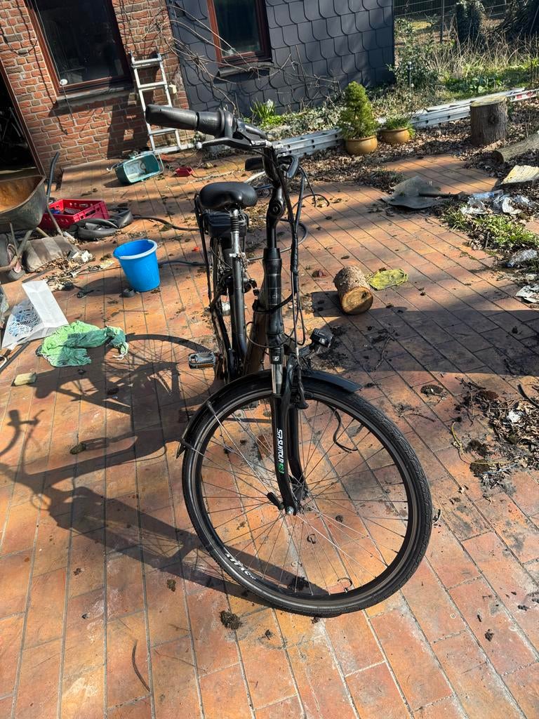 E.cty e-bike - Display en lader defect, Ophalen, Gebruikt, Overige merken