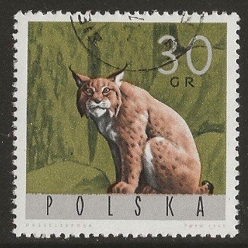 Polen 62, lynx, Verzenden, Polen, Gestempeld