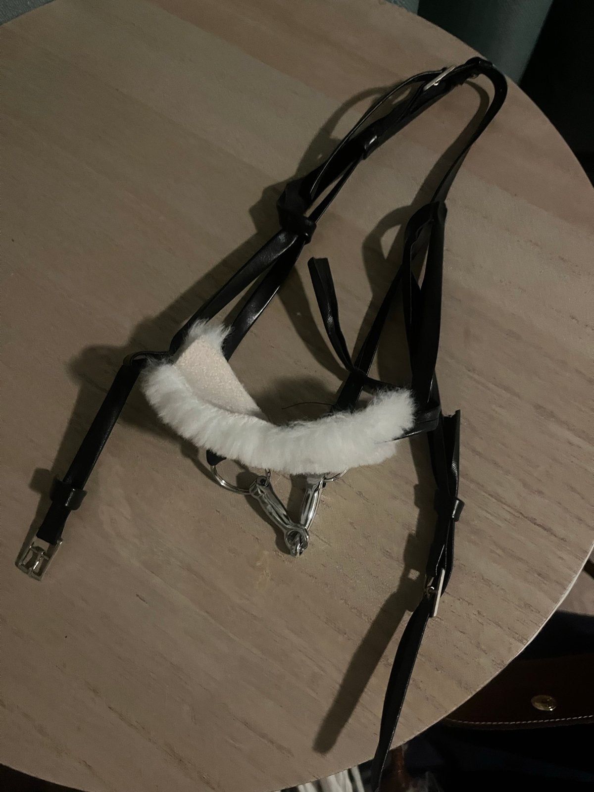 Stokpaard hoofdstel met bit, Ophalen of Verzenden