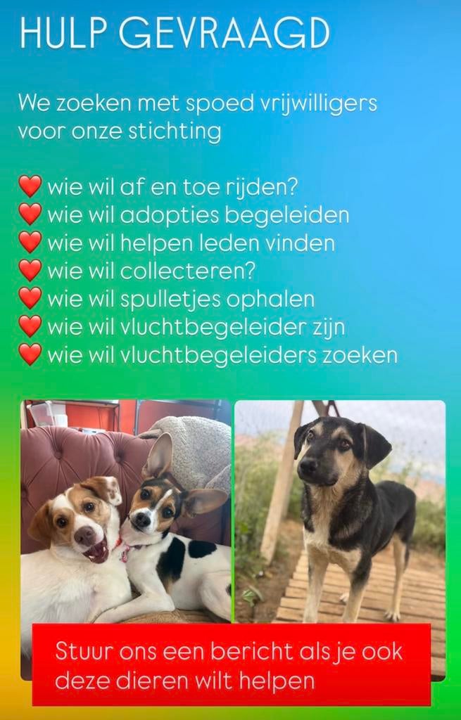 Vrijwilligers gezocht, Overige niveaus, Starter, Overige vormen