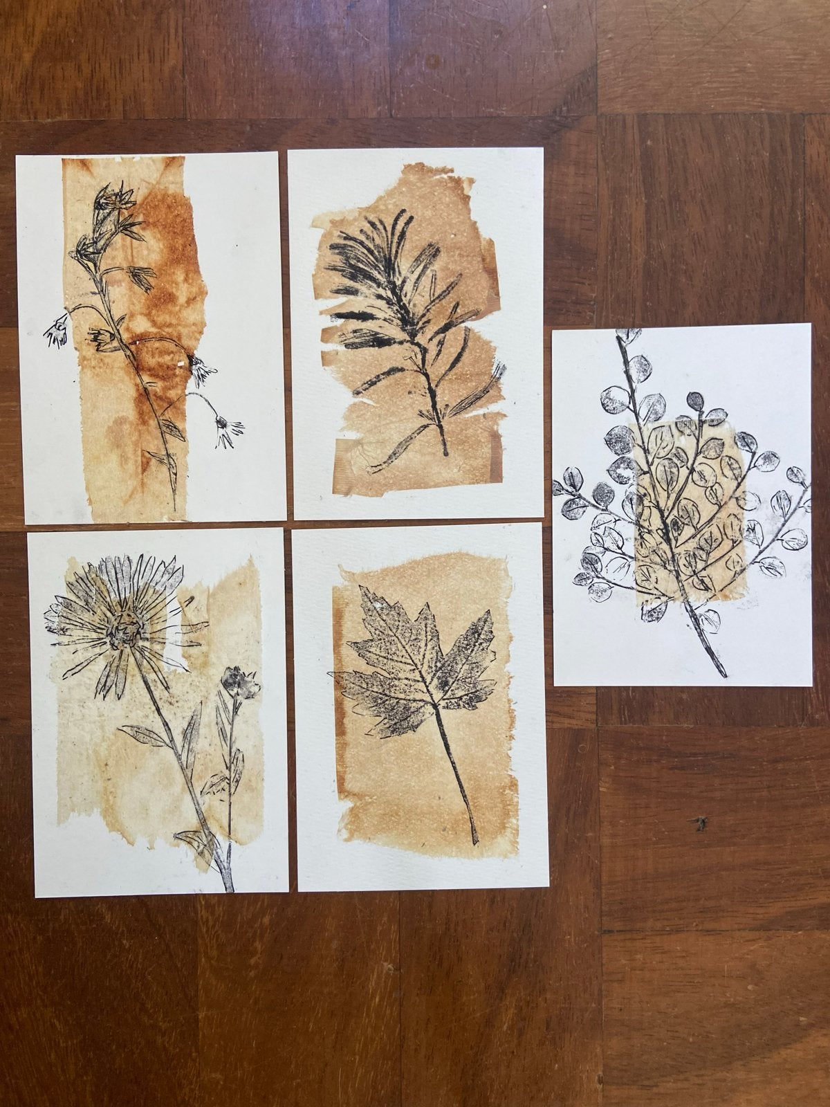 Set van 5 Botanische Prints - Handgemaakte Kunst, Ophalen of Verzenden, Print, Gemengde techniek, Handgemaakt