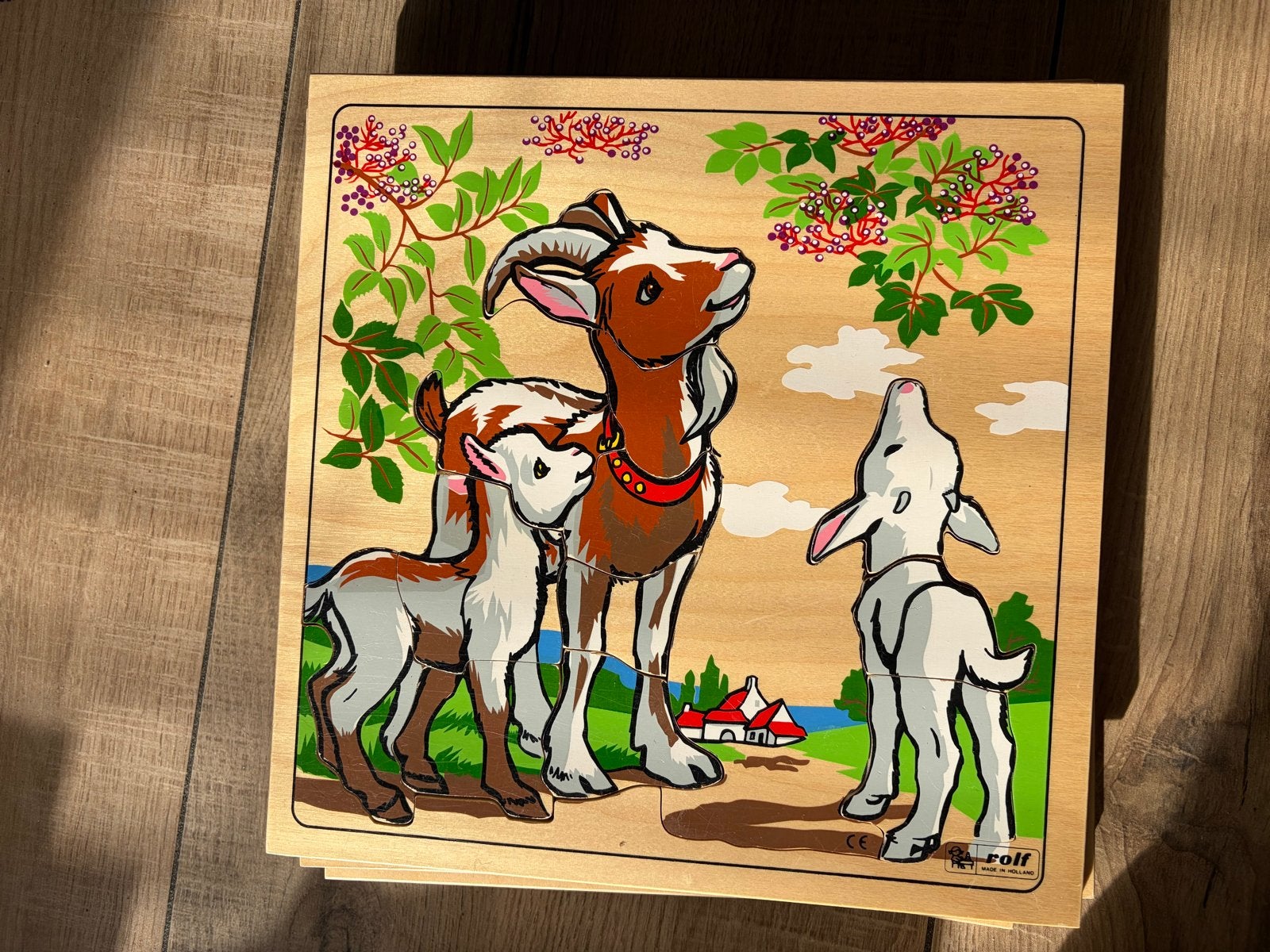 Houten puzzels van Rolf - Organische vormen (28x28 cm), Kinderen en Baby's, 2 tot 4 jaar, Gebruikt, Ophalen of Verzenden, Van hout