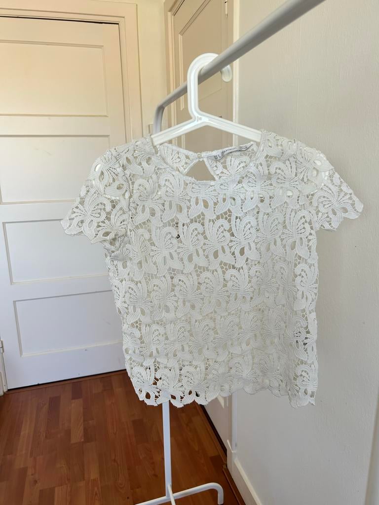 Witte kanten top van Trafaluc (Zara), Maat 38/40 (M), Wit, Ophalen of Verzenden, Zo goed als nieuw