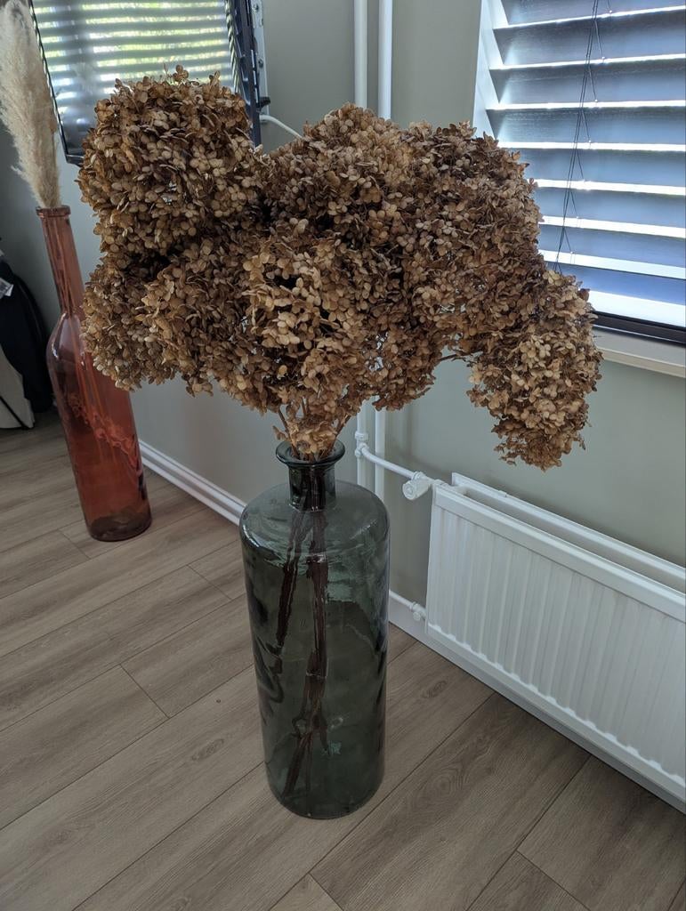 Grote vaas met droogboeket - Groen glas, Ophalen, 75 cm of meer, Groen, Glas