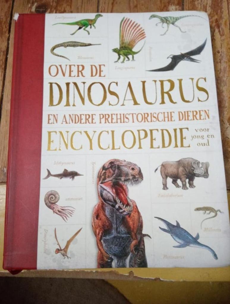 Over de Dinosaurus en andere prehistorische dieren, Boeken, Non-fictie, QED Publishing, Ophalen of Verzenden, Zo goed als nieuw