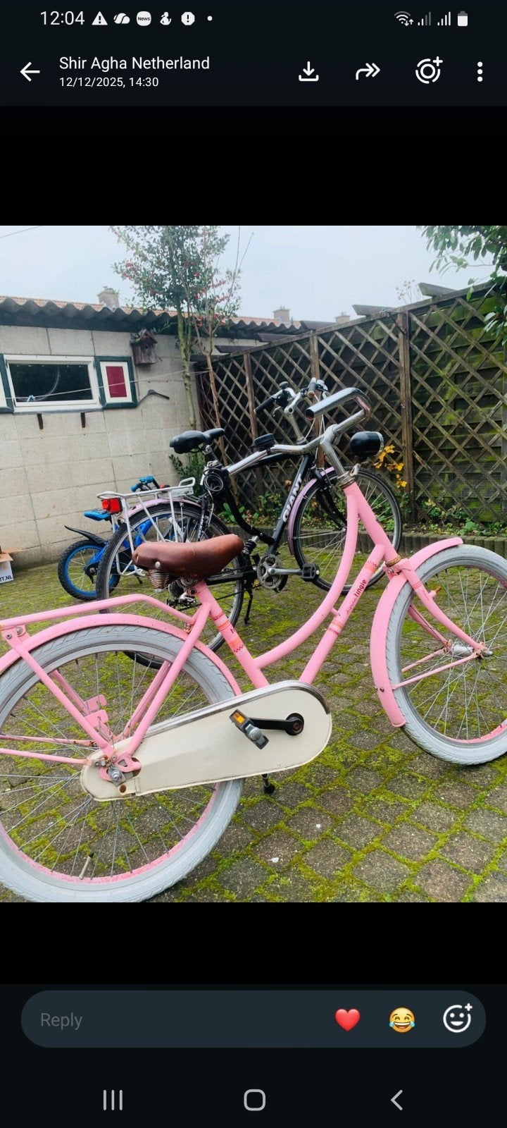 Diverse fietsen te koop - Gebruikt, goede staat, Ophalen, Gebruikt, Velgrem, 20 inch of meer