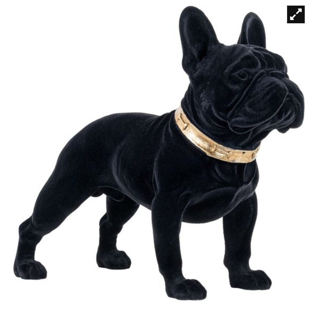 RICHMOND 3 mnd. Oud prachtige Franse Bulldog
Prachtig  velou, Ophalen, Zo goed als nieuw
