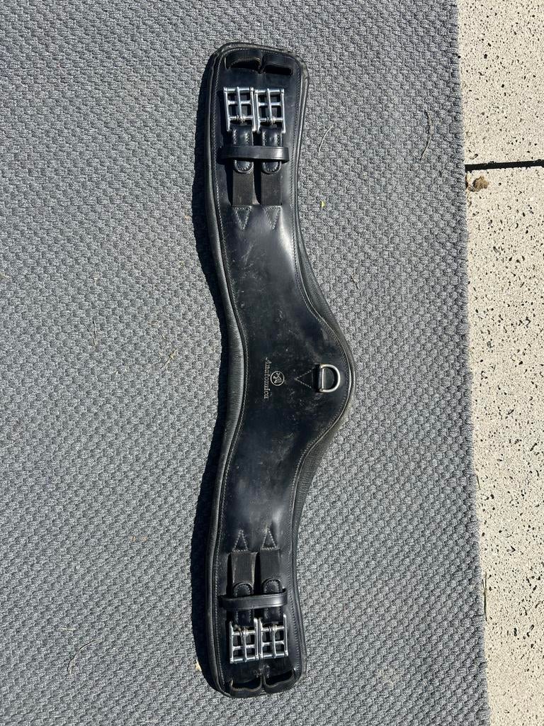 Dressuursingel anatomica 85cm, Ophalen of Verzenden, Gebruikt