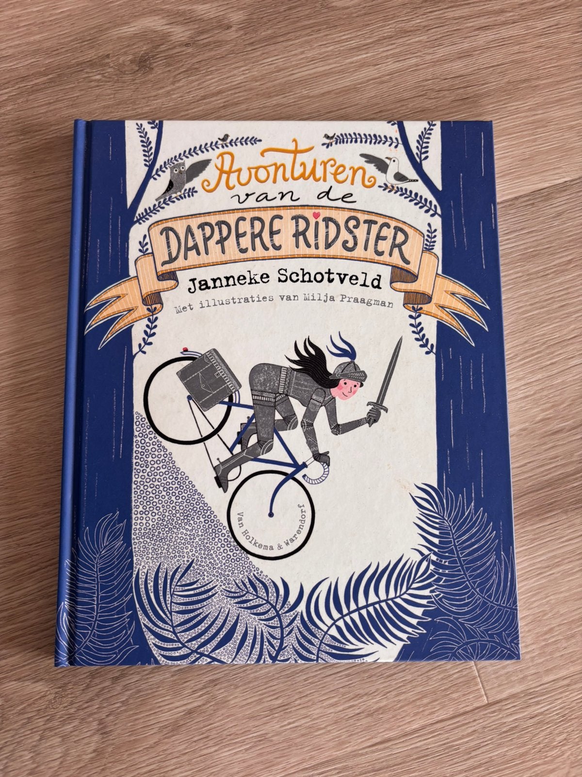 Janneke Schotveld - Avonturen van de dappere ridster, Fictie algemeen, Ophalen of Verzenden, Zo goed als nieuw, Janneke Schotveld