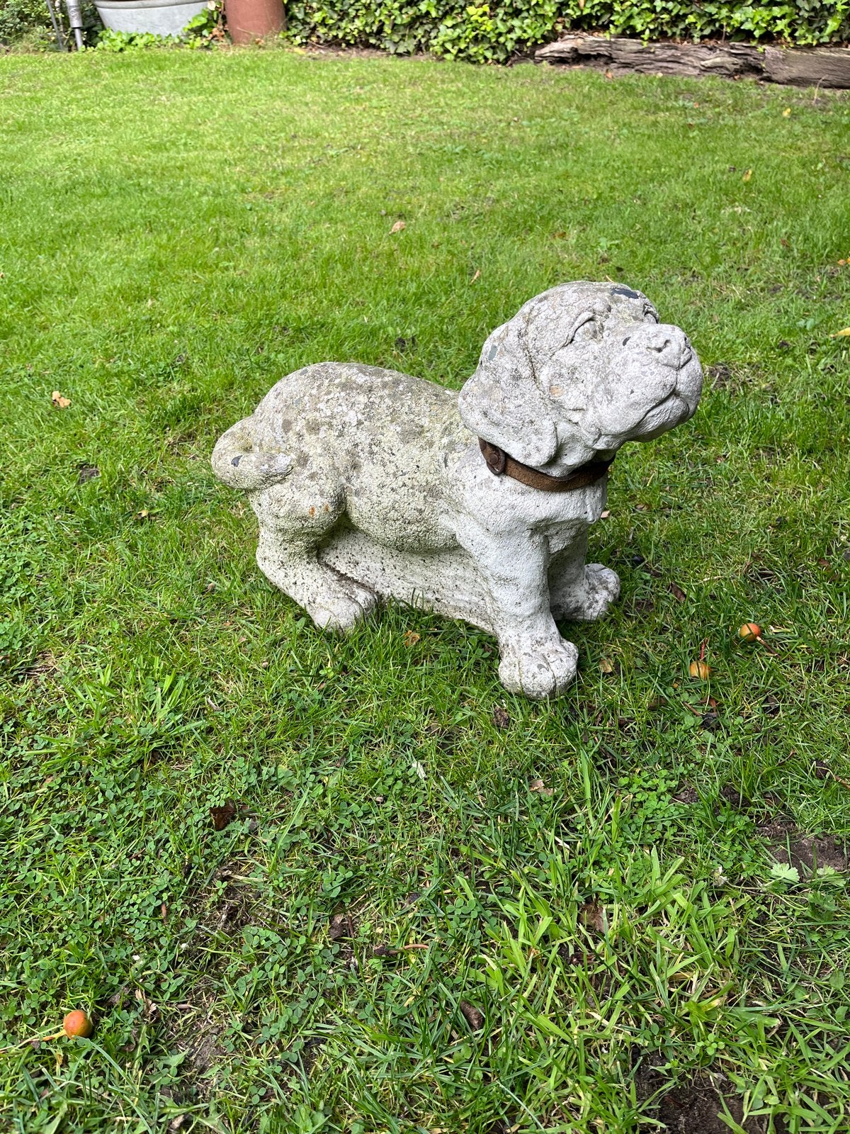 Diverse tuinbeelden van steen: hond, ezel ,ganzen, kippen, Ophalen, Gebruikt, Steen, Dierenbeeld