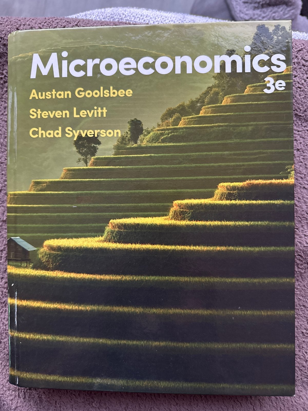 Microeconomics 3e - Goolsbee, Levitt, Syverson, Ophalen of Verzenden, Gamma, Gelezen, WO