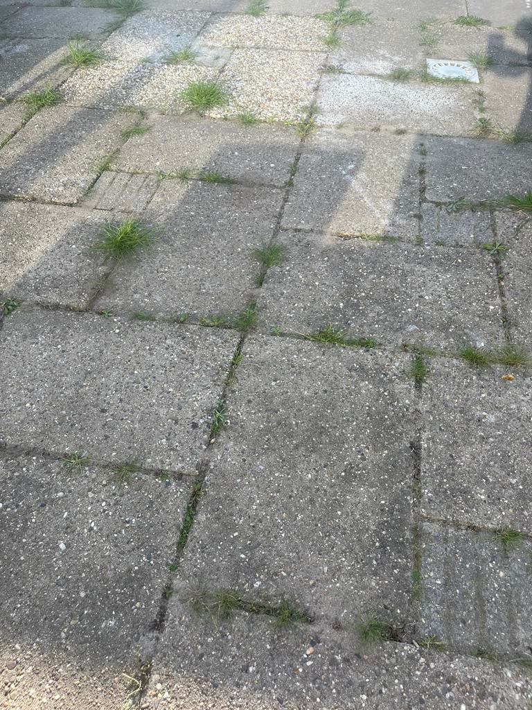 GRATIS tegels 60x40, Ophalen, Zo goed als nieuw, 10 m² of meer, Beton