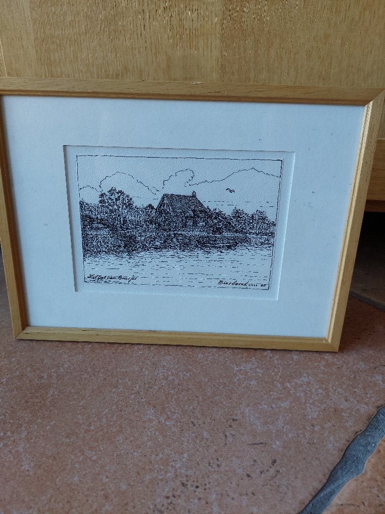 pen tekening Biesbosch, Ophalen of Verzenden