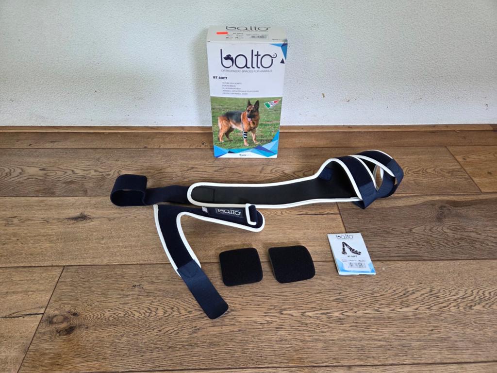 Brace voor honden van 20-45kg merk Balto, Dieren en Toebehoren, Ophalen, Nieuw