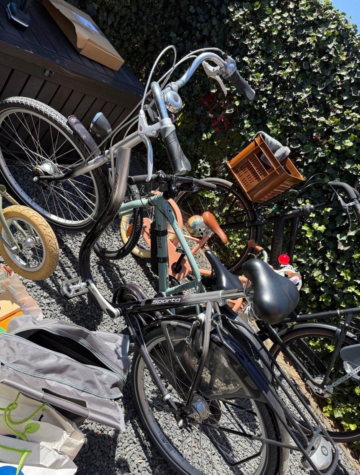 Sparta damesfiets met lage instap, Fietsen en Brommers, Fietsen | Dames | Damesfietsen, Ophalen, Gebruikt, Sparta, (Extra) lage instap