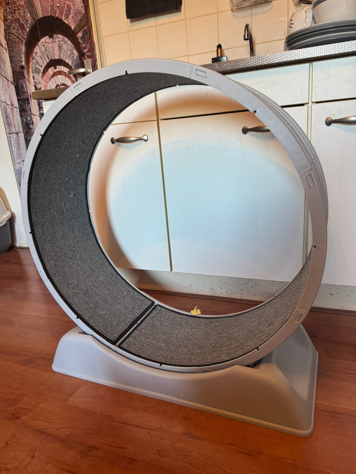 Kattenloopwiel / Cat Exercise Wheel – Zo goed als nieuw am1, Ophalen, Rond, Zo goed als nieuw, Minder dan 100 cm