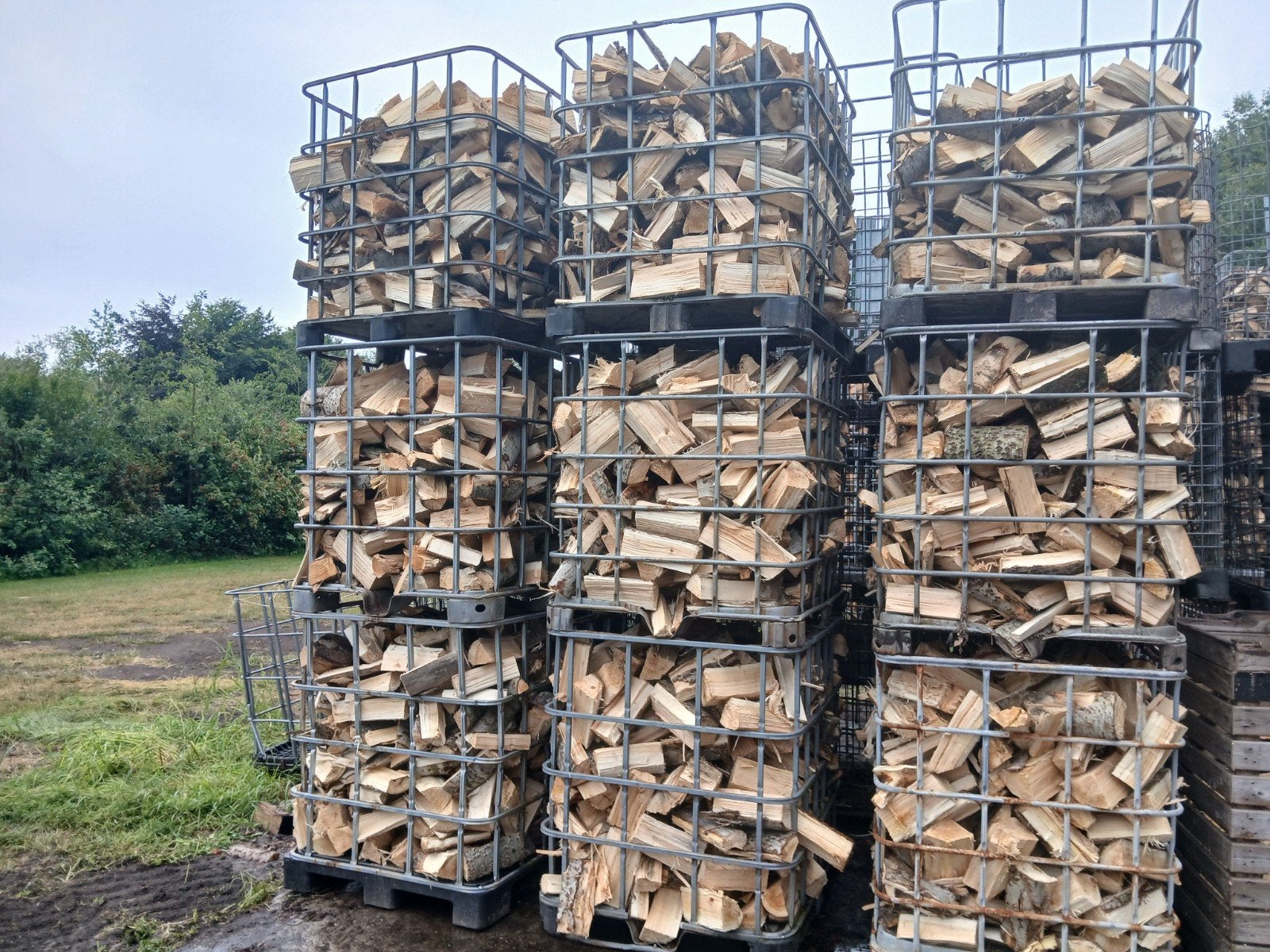 Brandhout haardhout kachelhout, 6 m³ of meer, Ophalen of Verzenden, Overige houtsoorten, Blokken
