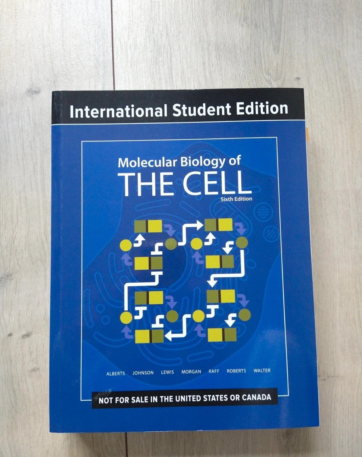 Molecular Biology of THE CELL  International Student Edition, Alberts, Johnson, Lewis, Morgan, Raff, Roberts, Walter, Ophalen of Verzenden
