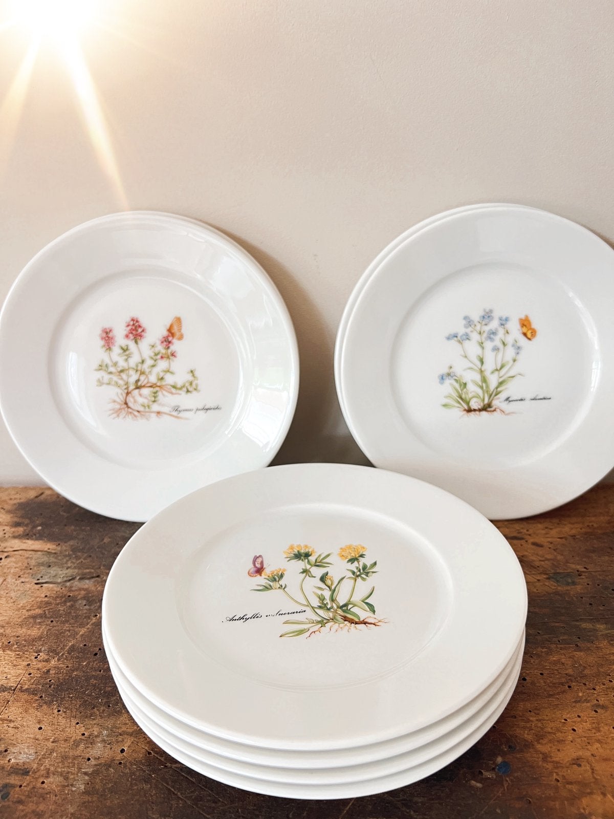 Set van 8 vintage Kronester Bavaria Botanica gebaksbordjes, Ophalen of Verzenden