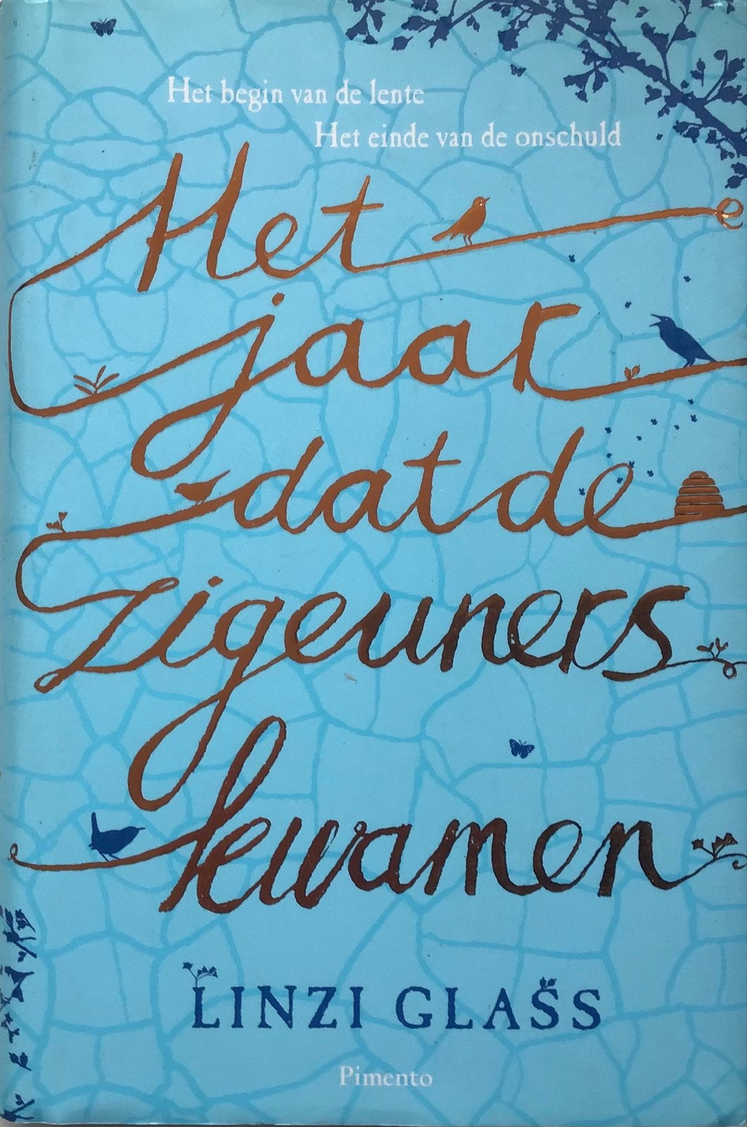 Het jaar dat de Zigeuners kwamen - Linzi Glass, Ophalen of Verzenden, Gelezen, Wereld overig