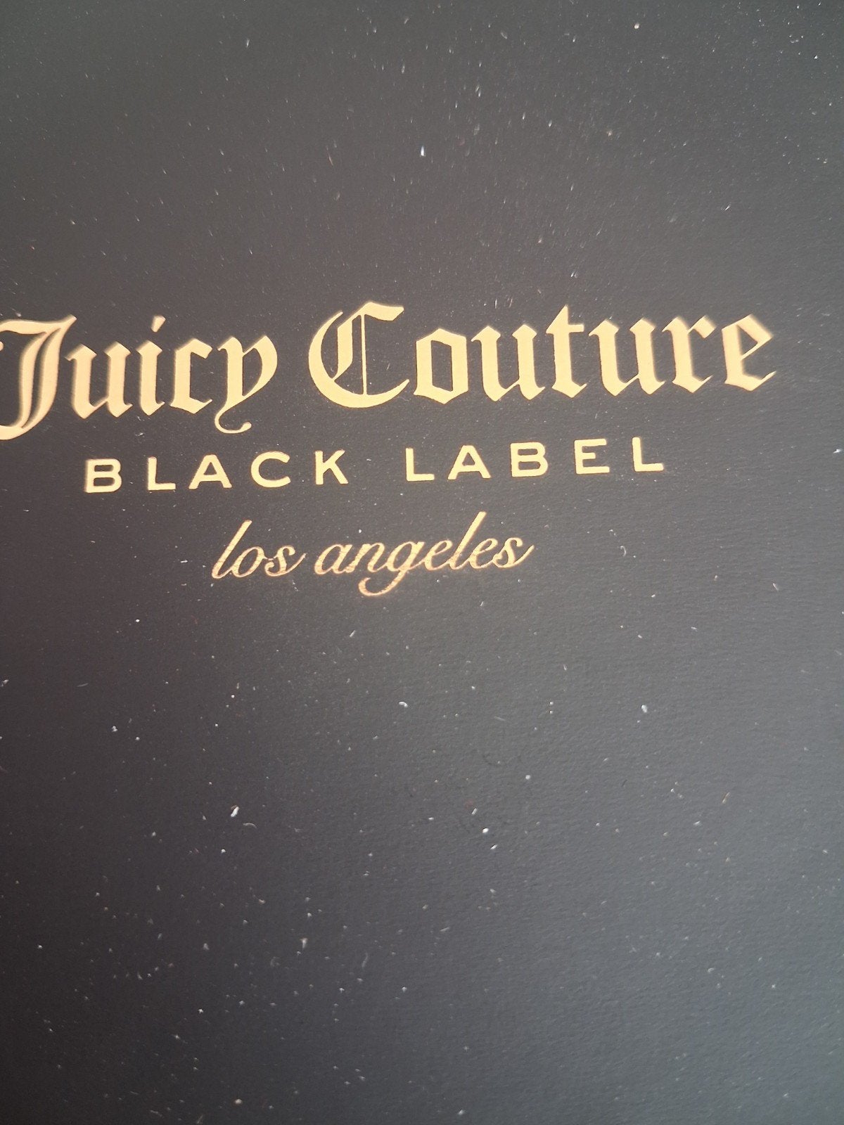 Juicy Couture Black Label Los Angeles Horloge, Overige merken, Staal, Staal, Polshorloge