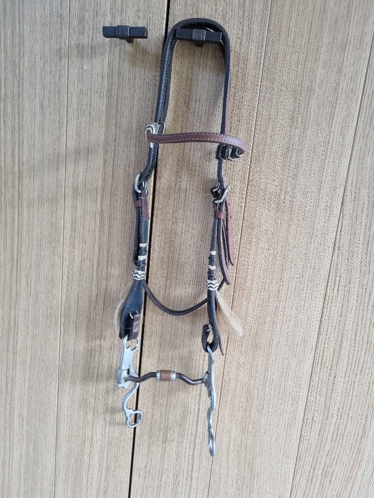 Western hoofdstel met teugels en bit, Dieren en Toebehoren, Paarden en Pony's | Hoofdstellen en Tuigage, Hoofdstel, Bruin, Inclusief teugels