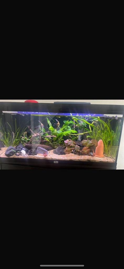 Prachtig aquarium Aqualantis 120 liter, Ophalen, Inclusief vissen, Zo goed als nieuw, Leeg aquarium