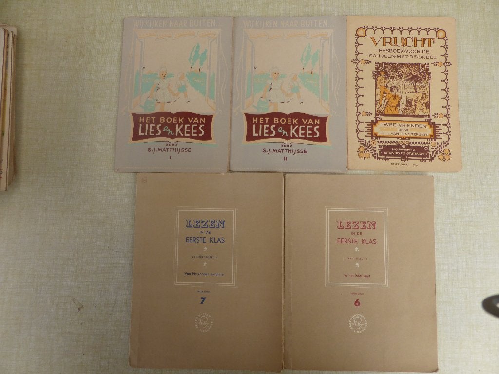 Het boek van Lies en Kees-Vrucht- Lezen in de eerste klas, Ophalen of Verzenden, Gelezen, Overige niveaus, Nederlands