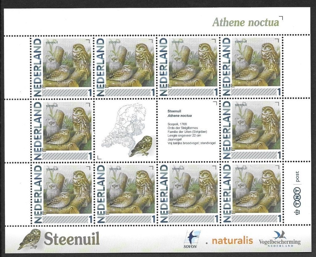 Vel persoonlijke zegels, vogels Steenuil, postfris, Ophalen of Verzenden, Postfris