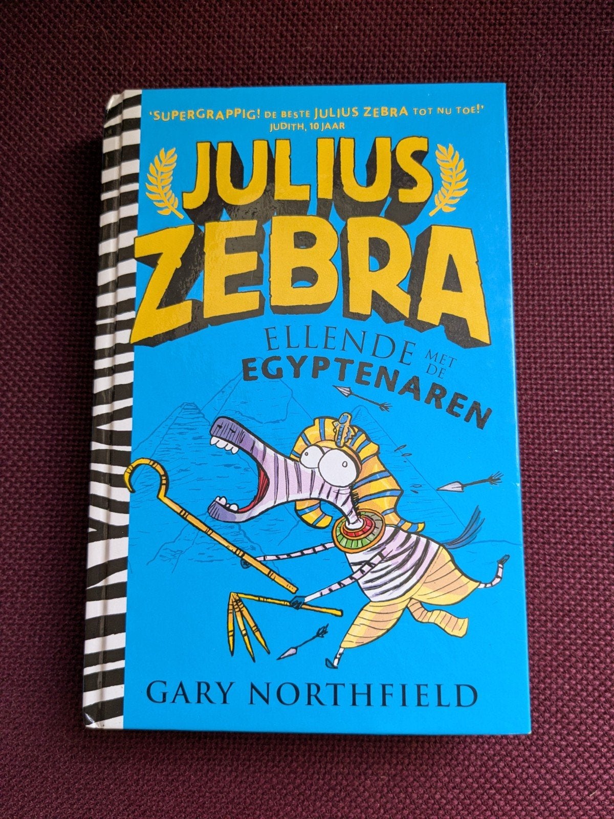 Julius Zebra: Ellende met de Egyptenaren - Gary Northfield, Ophalen of Verzenden, Gelezen, Gary Northfield, Fictie algemeen