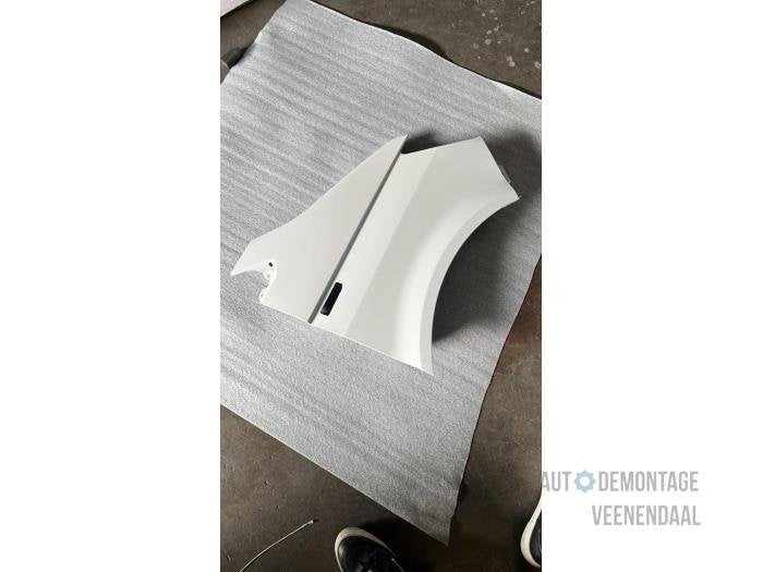 Scherm rechts-voor van een Volkswagen Transporter (LB9A), -, Volkswagen, -, Nieuw