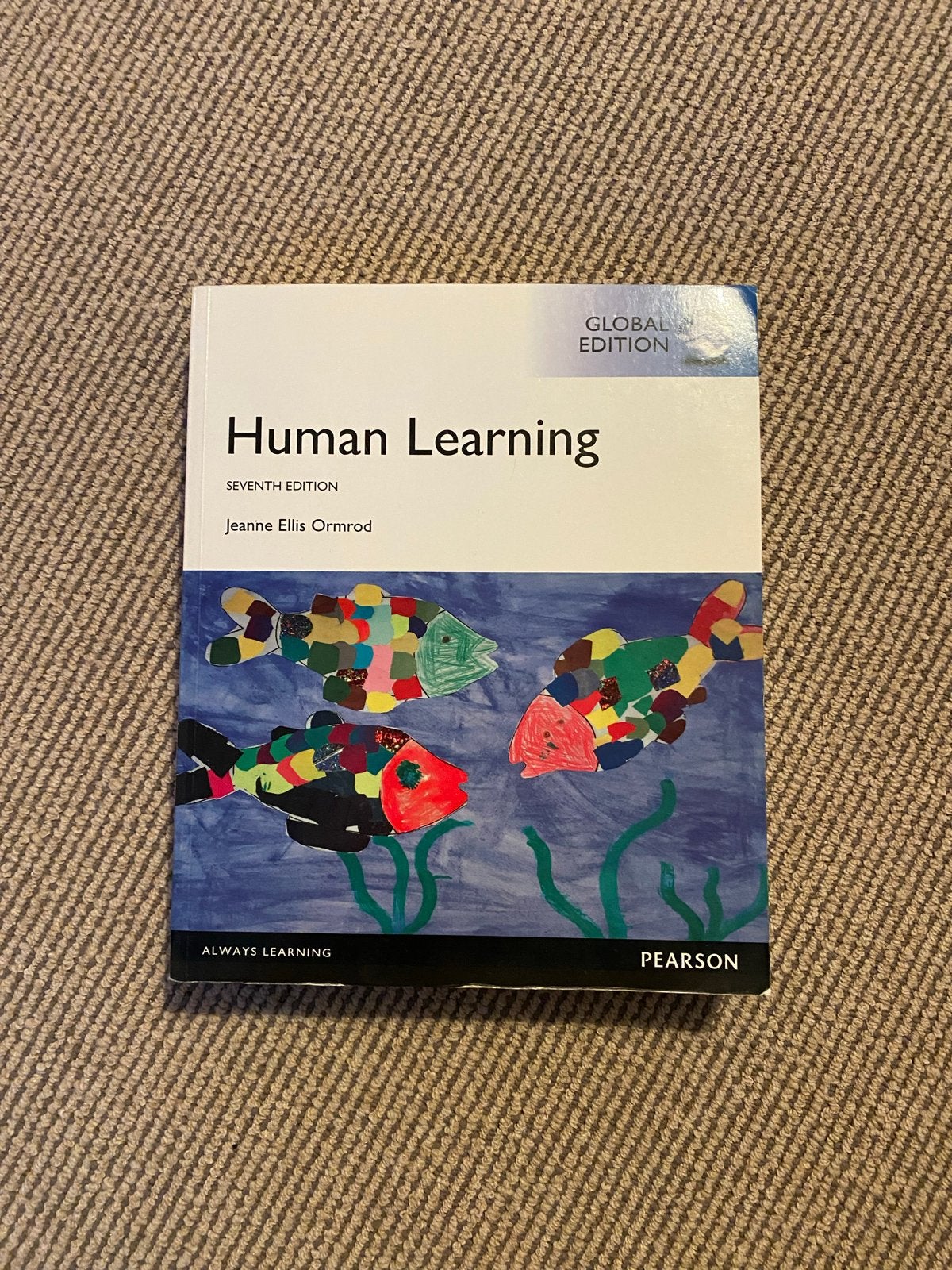 Human Learning - Jeanne Ellis Ormrod (Global Edition), Boeken, Ophalen of Verzenden, Gamma, Zo goed als nieuw, WO