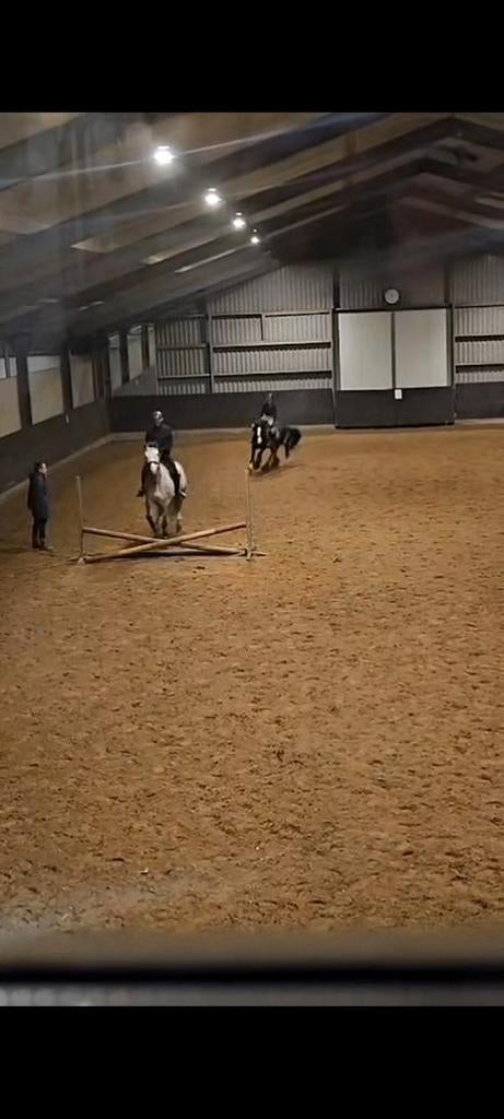 Verzorg pony/paard gezocht, Dieren en Toebehoren, Ophalen of Verzenden