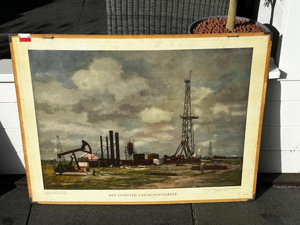 Het olieveld van Schoonebeek, Antiek en Kunst, Ophalen of Verzenden, Natuur en Biologie