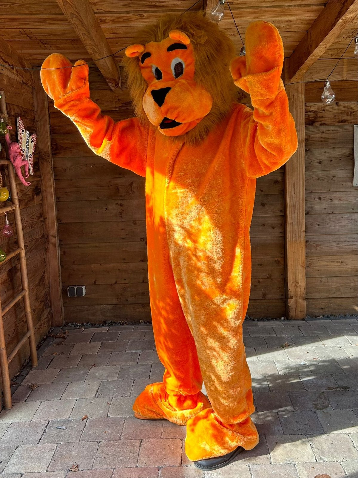 Oranje leeuw kostuum huren ( ook bruine leeuw met shirt), Ophalen of Verzenden, Zo goed als nieuw, Oranje of Koningsdag