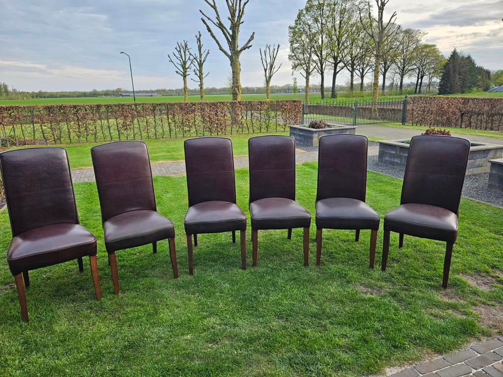 6 eetkamer stoelen, Ophalen of Verzenden, Gebruikt, Bruin, Vijf, Zes of meer stoelen